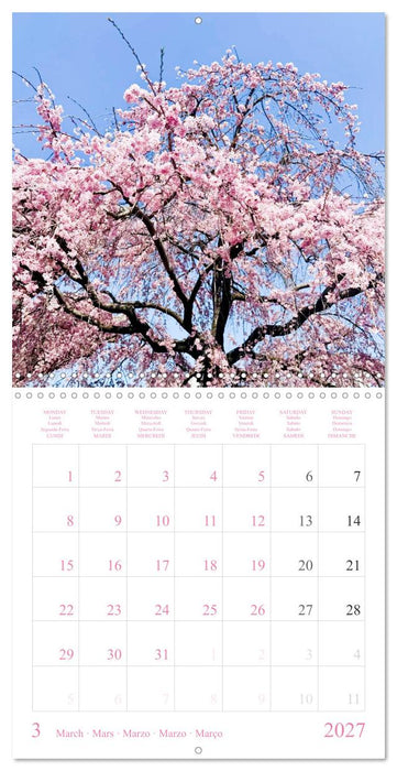 Allure of Japan (CALVENDO Monthly Calendar 2027)