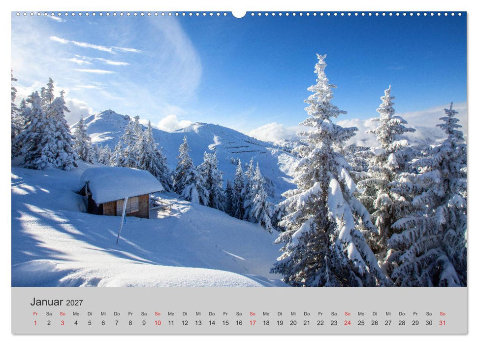 Komm, ich zeige dir den Wald (CALVENDO Wandkalender 2027)