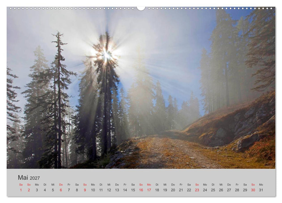 Komm, ich zeige dir den Wald (CALVENDO Wandkalender 2027)