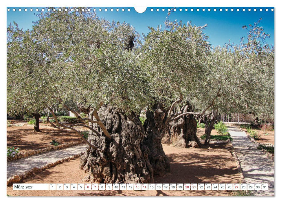 Biblische Orte in Israel mit Bibelstellen (CALVENDO Wandkalender 2027)