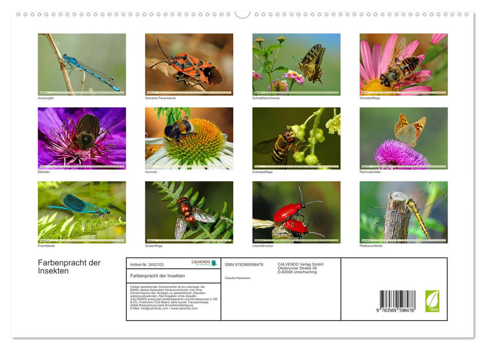 Farbenpracht der Insekten (CALVENDO Premium Wandkalender 2027)