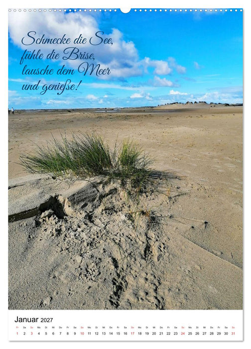 Facettenreiches Borkum (CALVENDO Wandkalender 2027)