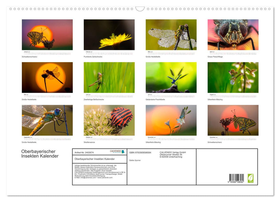 Oberbayerischer Insekten Kalender (CALVENDO Wandkalender 2027)