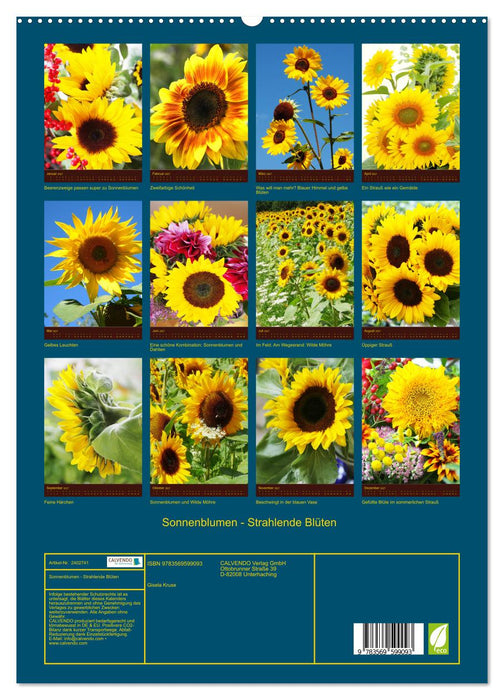 Sonnenblumen - Strahlende Blüten (CALVENDO Premium Wandkalender 2027)