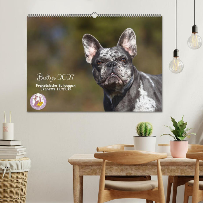 Bullys - Französische Bulldoggen 2027 (CALVENDO Wandkalender 2027)
