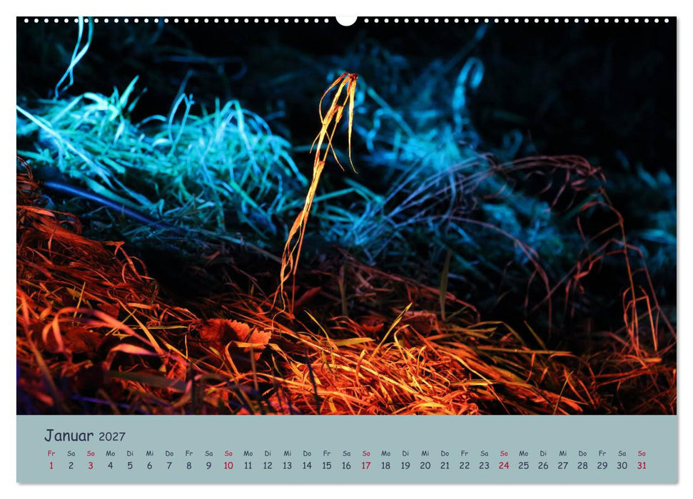 Leuchtfarben (CALVENDO Wandkalender 2027)