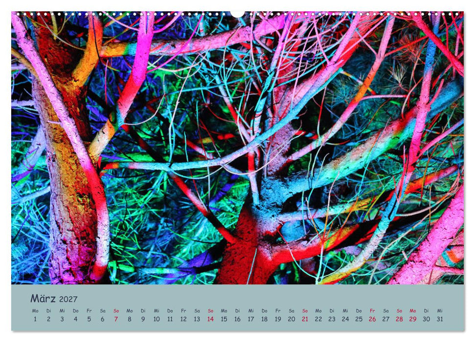 Leuchtfarben (CALVENDO Wandkalender 2027)