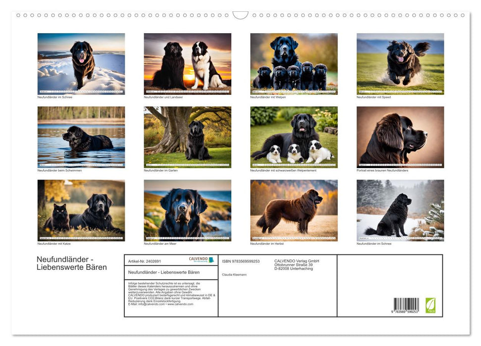 Neufundländer - Liebenswerte Bären (CALVENDO Wandkalender 2027)