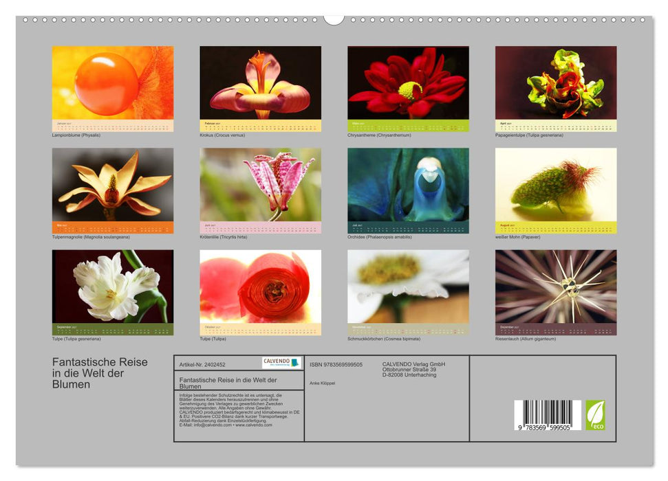 Fantastische Reise in die Welt der Blumen (CALVENDO Premium Wandkalender 2027)