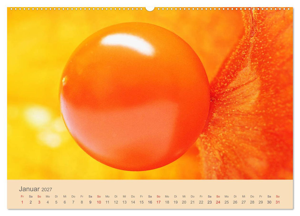 Fantastische Reise in die Welt der Blumen (CALVENDO Premium Wandkalender 2027)