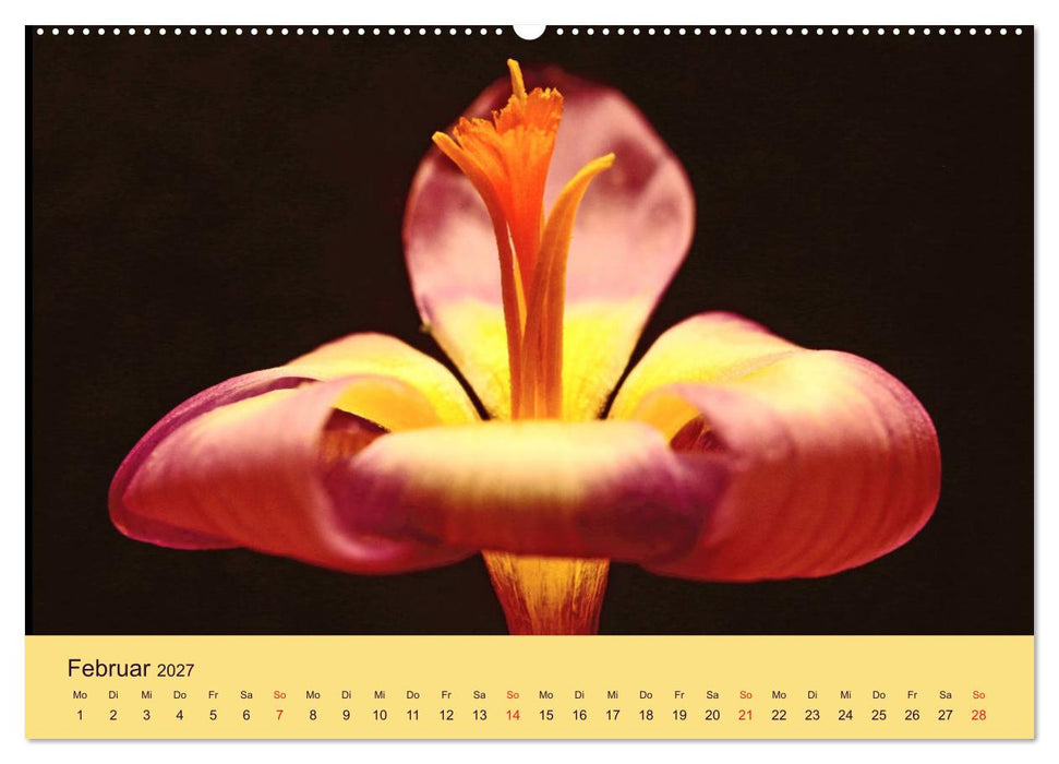 Fantastische Reise in die Welt der Blumen (CALVENDO Premium Wandkalender 2027)