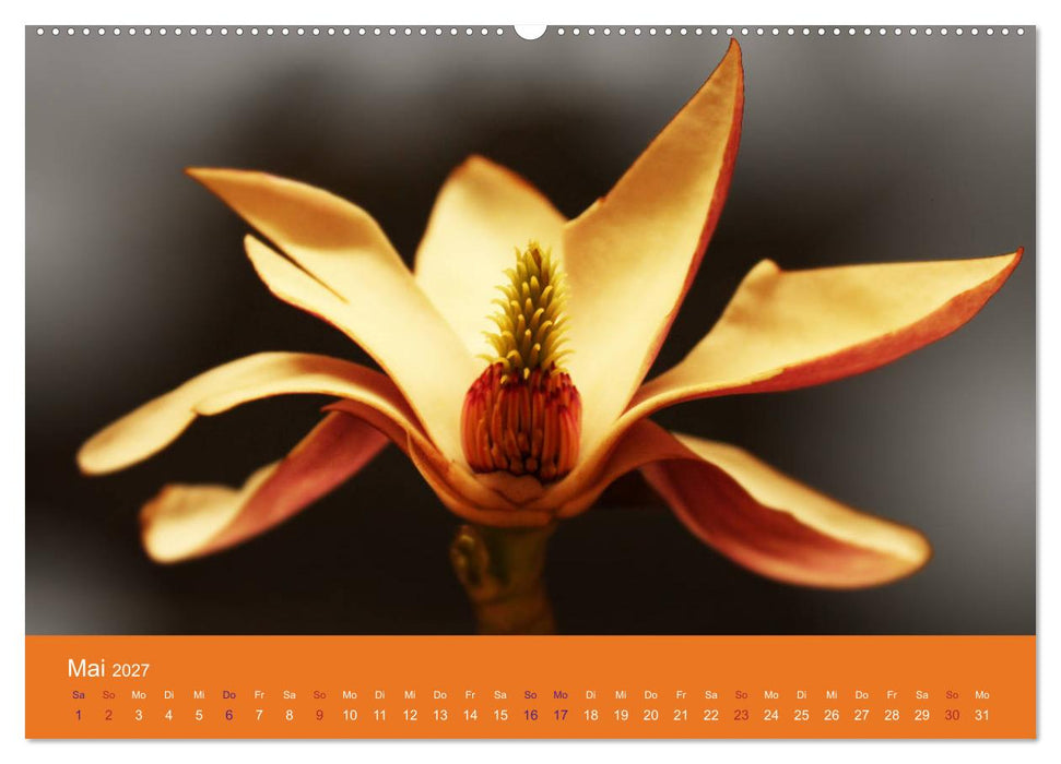 Fantastische Reise in die Welt der Blumen (CALVENDO Premium Wandkalender 2027)