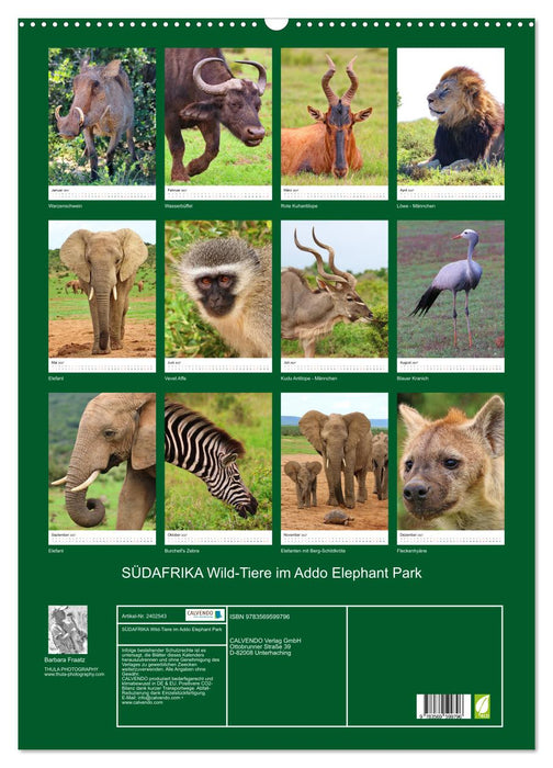 SÜDAFRIKA Wild-Tiere im Addo Elephant Park (CALVENDO Wandkalender 2027)
