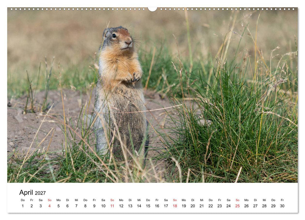 Fernweh Kanada - Naturerlebnis Rocky Mountains (CALVENDO Premium Wandkalender 2027)