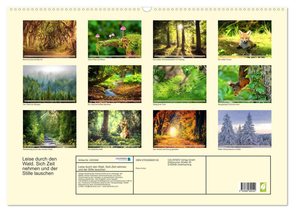 Leise durch den Wald. Sich Zeit nehmen und der Stille lauschen (CALVENDO Wandkalender 2027)