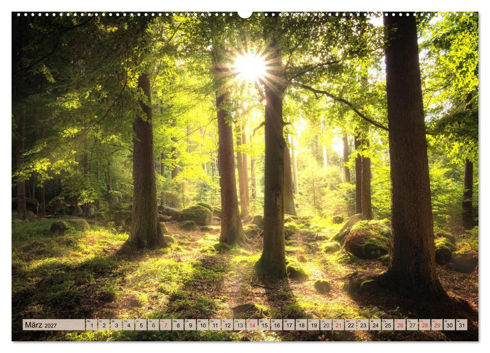 Leise durch den Wald. Sich Zeit nehmen und der Stille lauschen (CALVENDO Wandkalender 2027)
