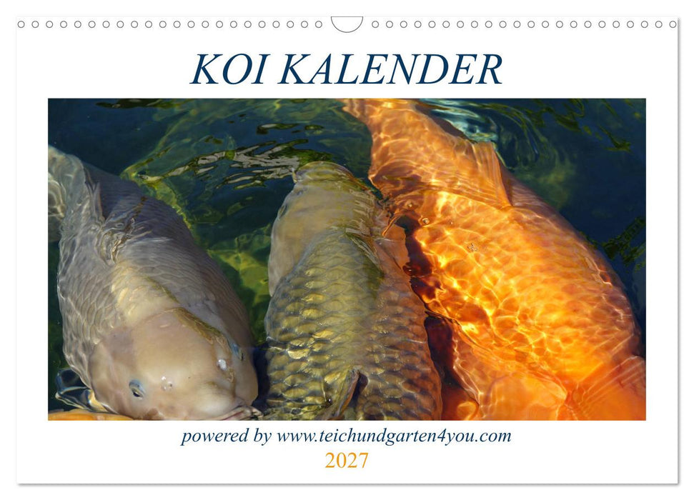 Koikichi Kalender 2027 (CALVENDO Wandkalender 2027)
