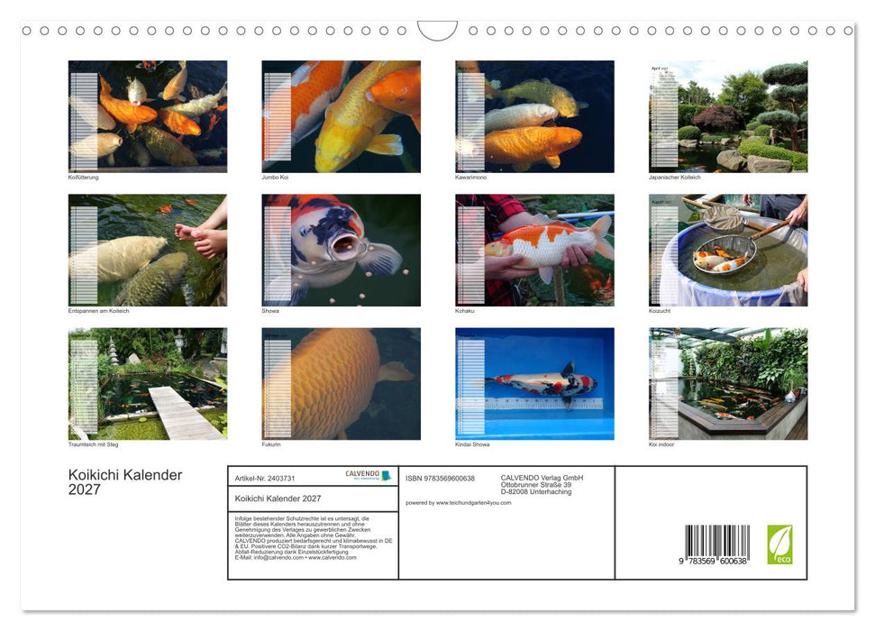 Koikichi Kalender 2027 (CALVENDO Wandkalender 2027)