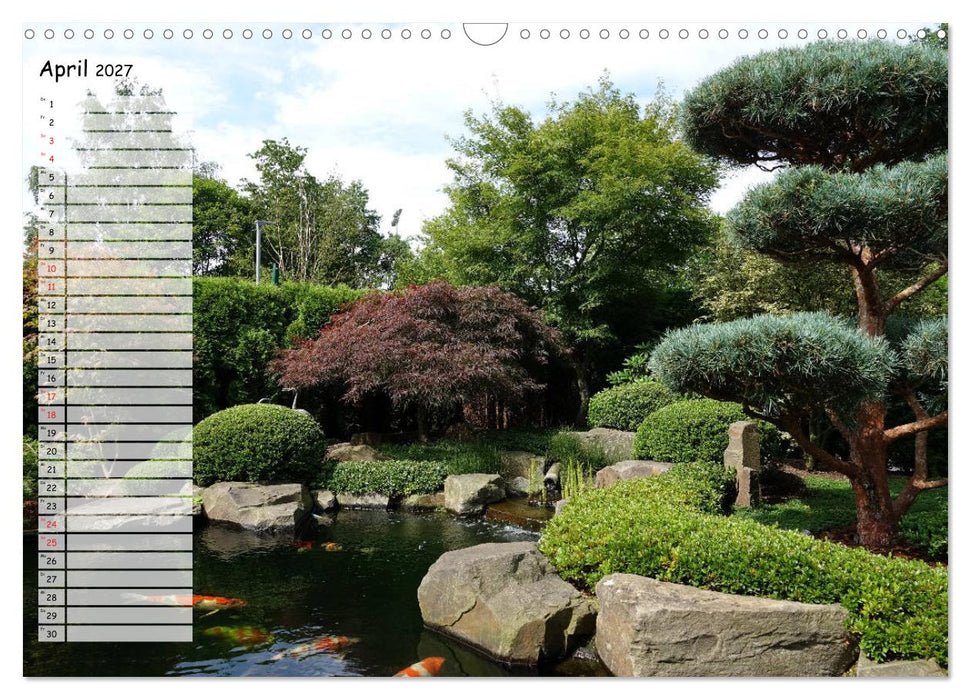 Koikichi Kalender 2027 (CALVENDO Wandkalender 2027)