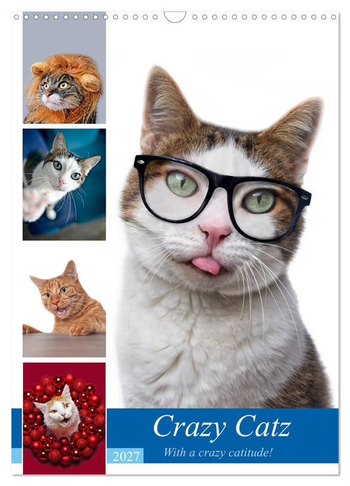 Crazy Catz. (CALVENDO Wandkalender 2027)