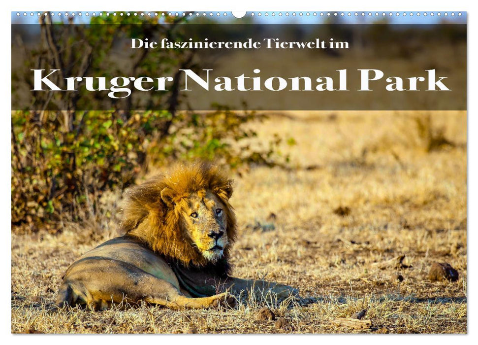 Faszinierende Tierwelt des Kruger National Parks (CALVENDO Wandkalender 2027)