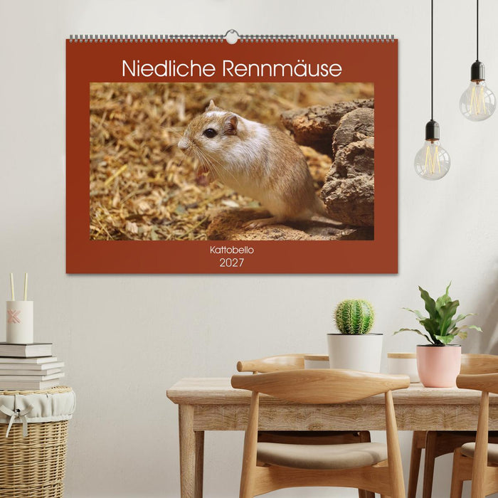 Niedliche Rennmäuse (CALVENDO Wandkalender 2027)