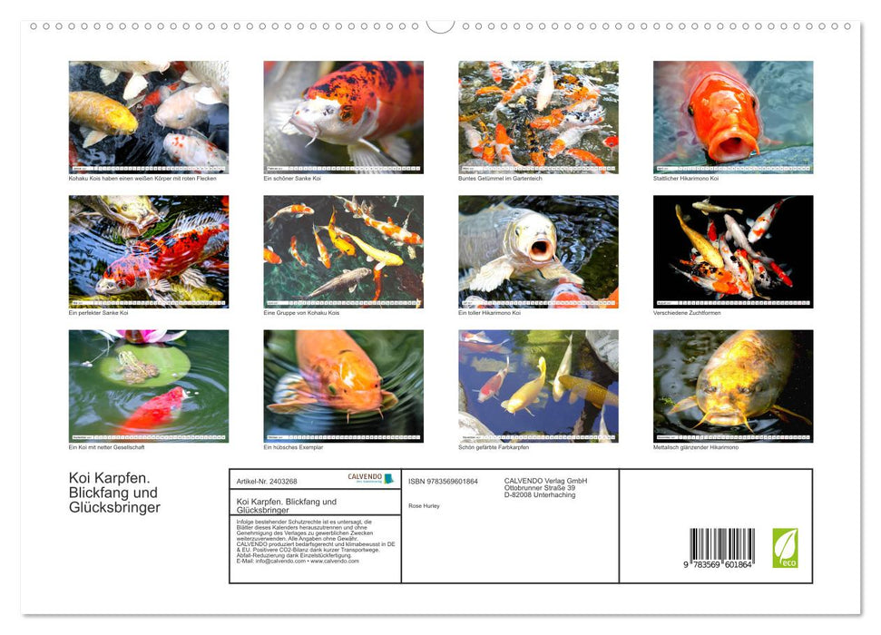 Koi Karpfen. Blickfang und Glücksbringer (CALVENDO Premium Wandkalender 2027)