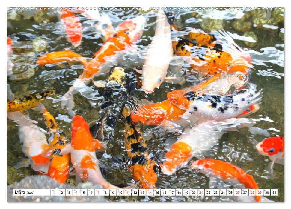 Koi Karpfen. Blickfang und Glücksbringer (CALVENDO Premium Wandkalender 2027)