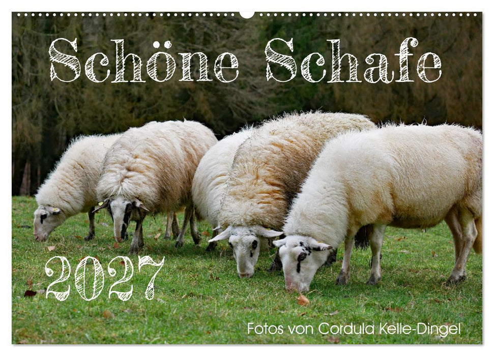 Schöne Schafe (CALVENDO Wandkalender 2027)