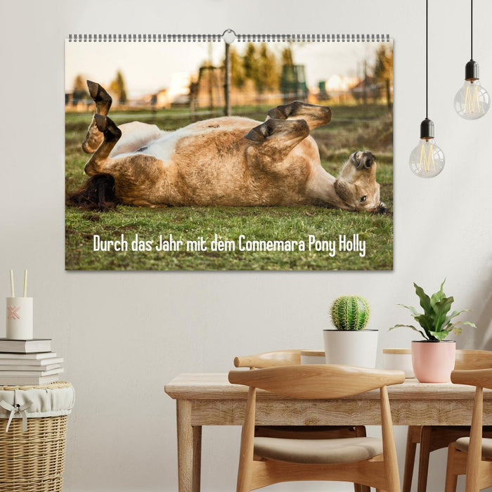 Durch das Jahr mit dem Connemara Pony Holly (CALVENDO Wandkalender 2027)