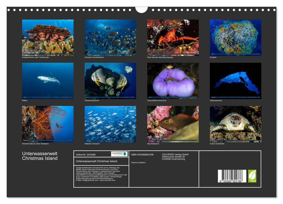 Unterwasserwelt Christmas Island (CALVENDO Wandkalender 2027)