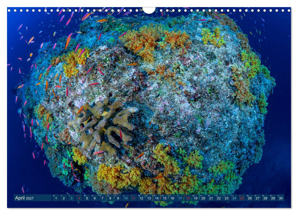 Unterwasserwelt Christmas Island (CALVENDO Wandkalender 2027)