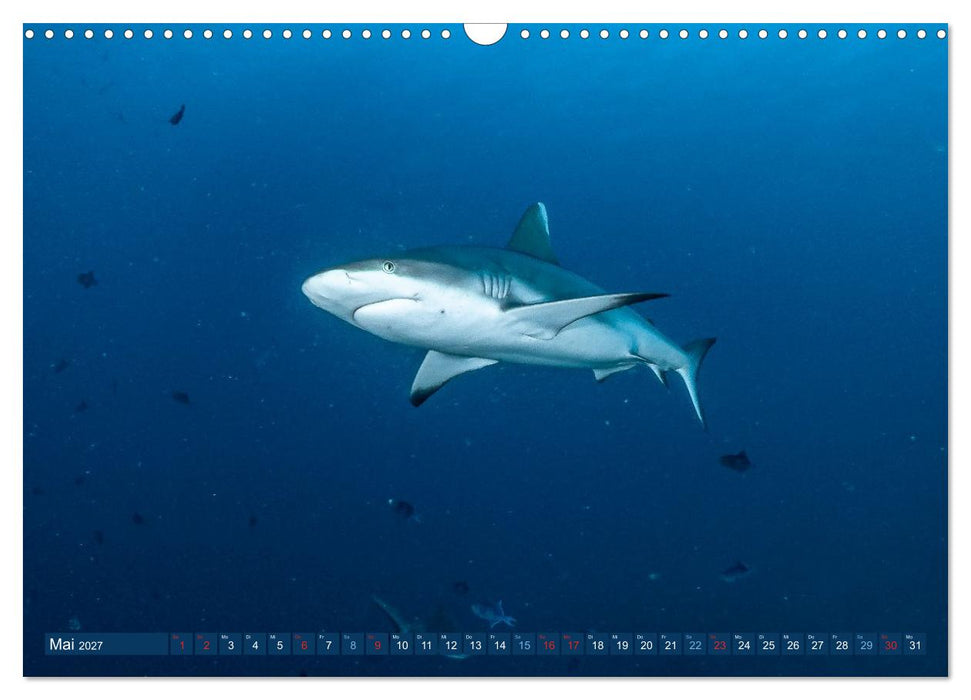 Unterwasserwelt Christmas Island (CALVENDO Wandkalender 2027)