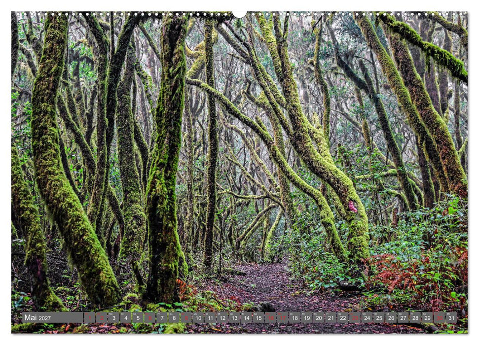 Wandern auf La Gomera (CALVENDO Premium Wandkalender 2027)