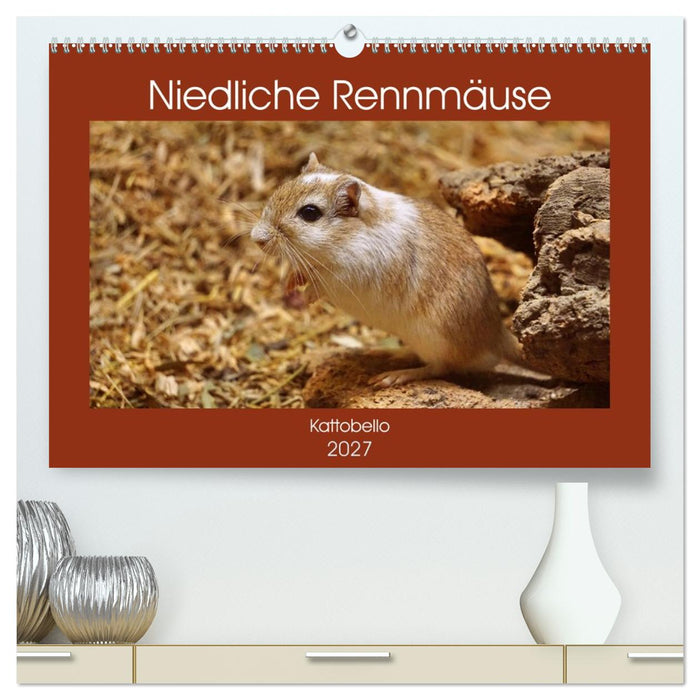 Niedliche Rennmäuse (CALVENDO Premium Wandkalender 2027)