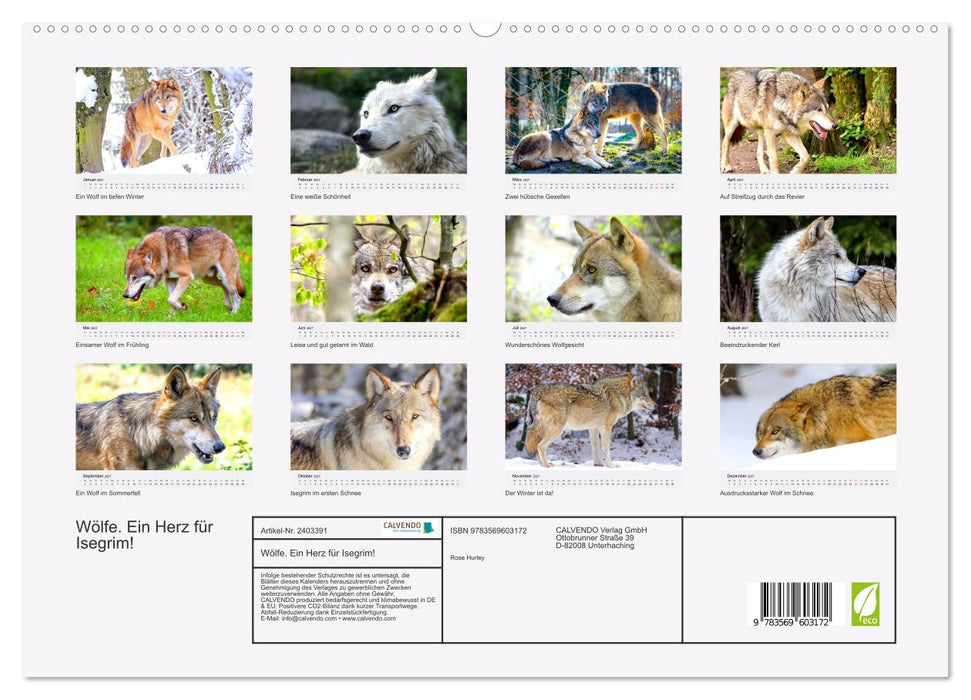 Wölfe. Ein Herz für Isegrim! (CALVENDO Premium Wandkalender 2027)