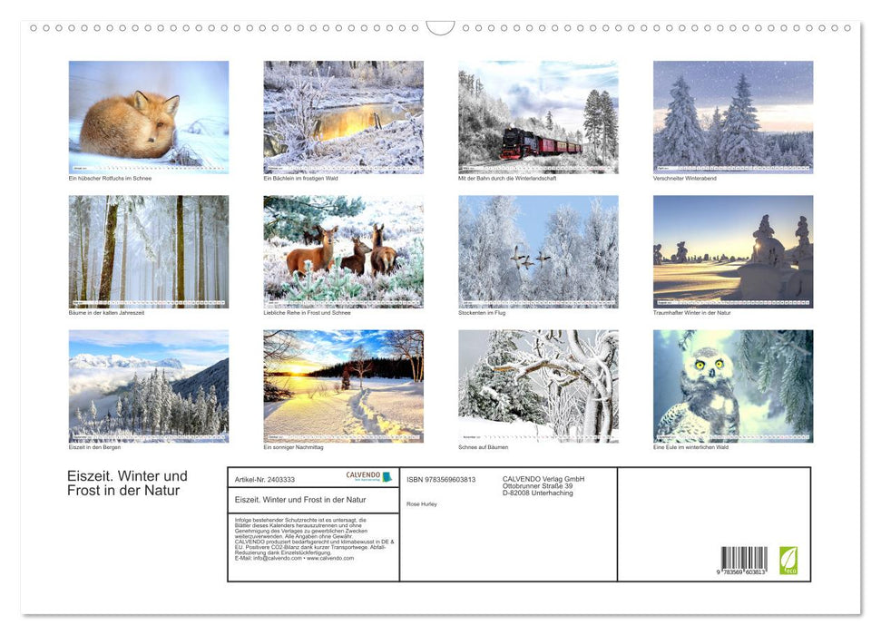 Eiszeit. Winter und Frost in der Natur (CALVENDO Wandkalender 2027)