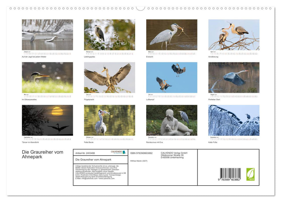 Die Graureiher vom Ahnepark (CALVENDO Premium Wandkalender 2027)