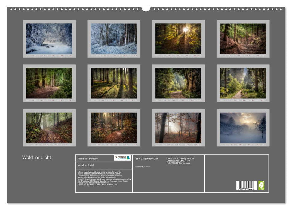 Wald im Licht (CALVENDO Wandkalender 2027)