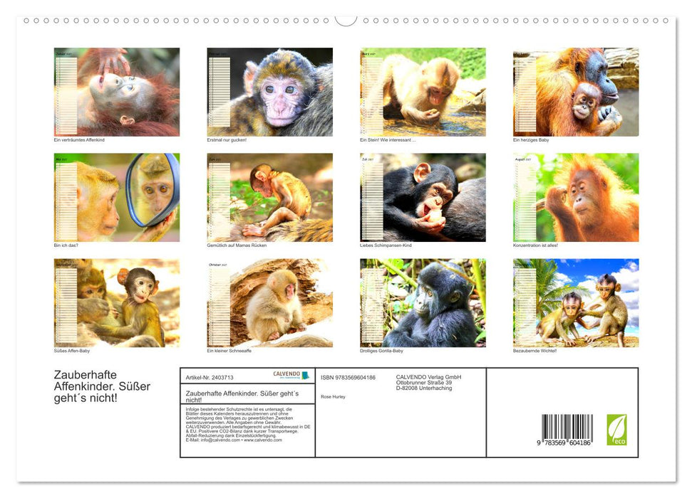 Zauberhafte Affenkinder. Süßer geht´s nicht! (CALVENDO Premium Wandkalender 2027)