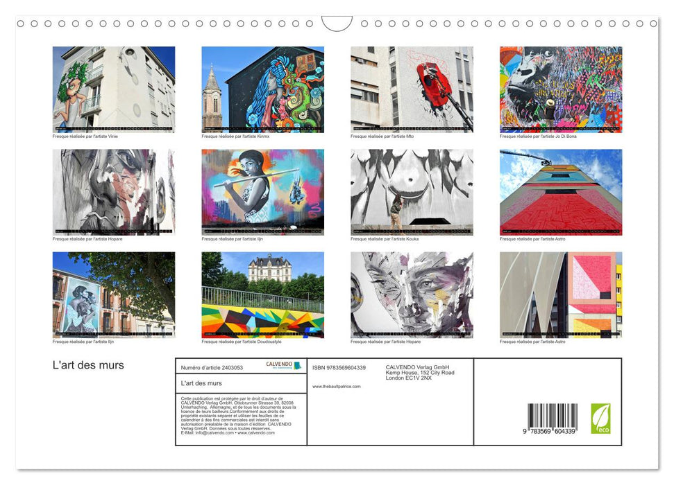 L'art des murs (CALVENDO Calendrier mensuel 2027)