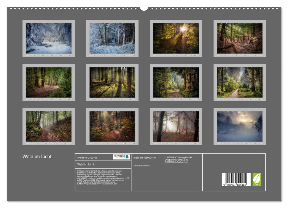 Wald im Licht (CALVENDO Premium Wandkalender 2027)