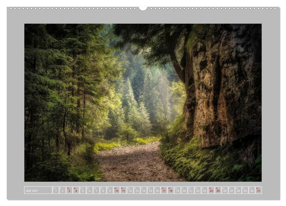 Wald im Licht (CALVENDO Premium Wandkalender 2027)