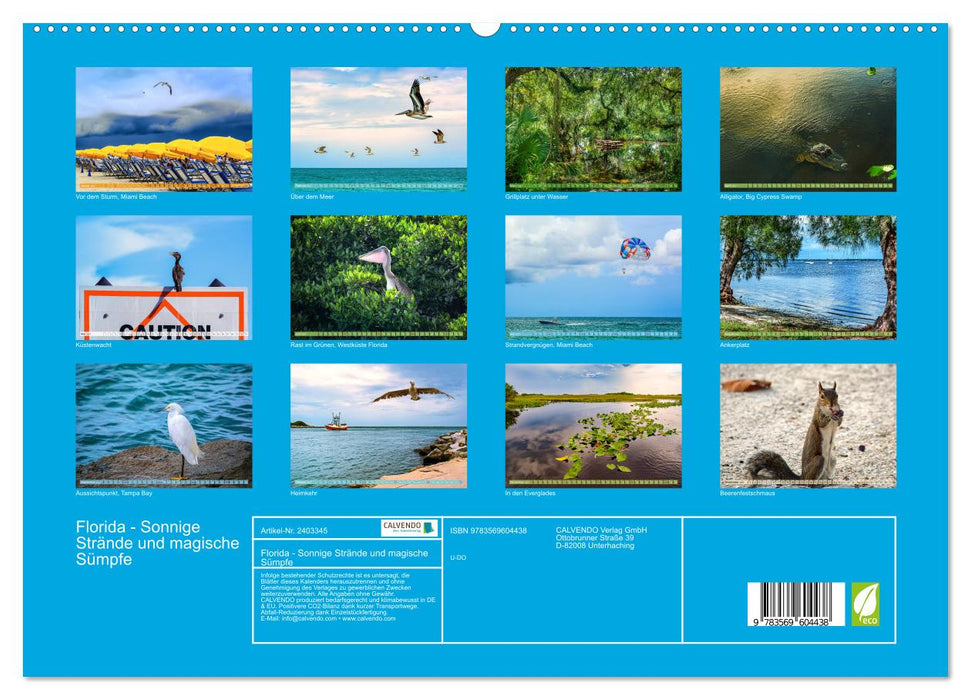 Florida - Sonnige Strände und magische Sümpfe (CALVENDO Premium Wandkalender 2027)