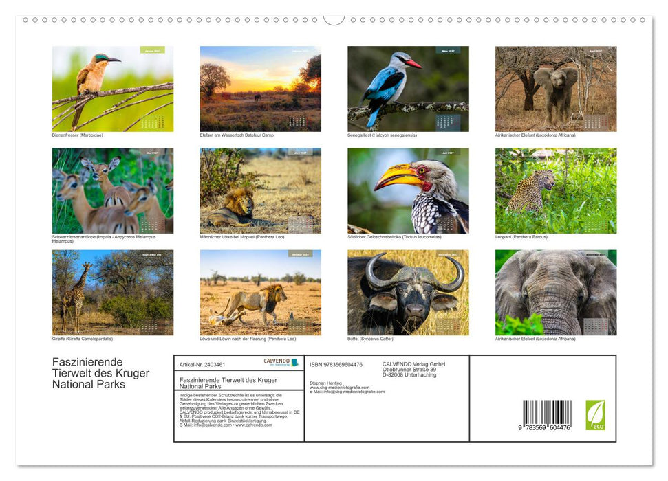 Faszinierende Tierwelt des Kruger National Parks (CALVENDO Premium Wandkalender 2027)
