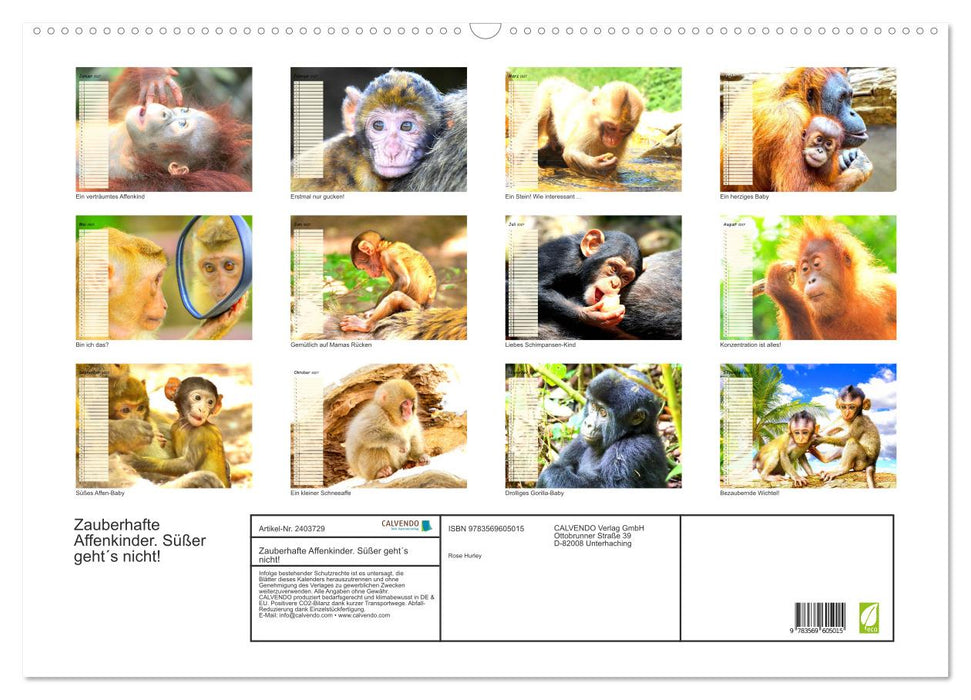 Zauberhafte Affenkinder. Süßer geht´s nicht! (CALVENDO Wandkalender 2027)