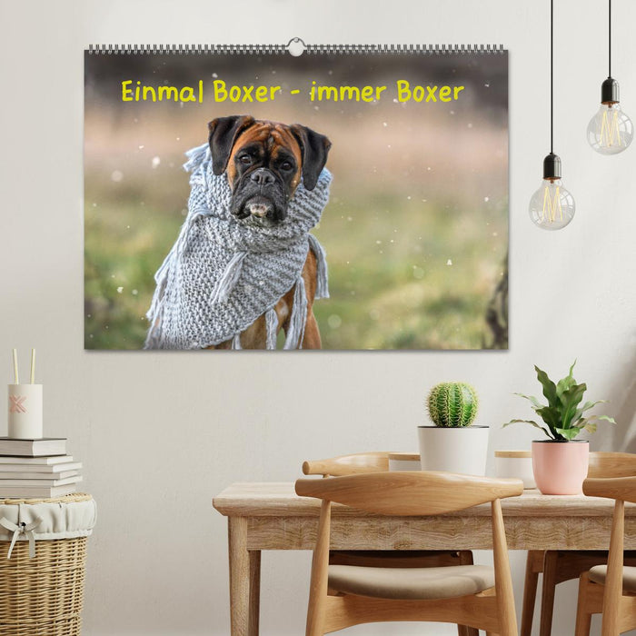 Einmal Boxer - immer Boxer (CALVENDO Wandkalender 2027)