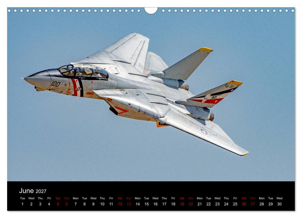 Dream Jets of RC (CALVENDO Monthly Calendar 2027)