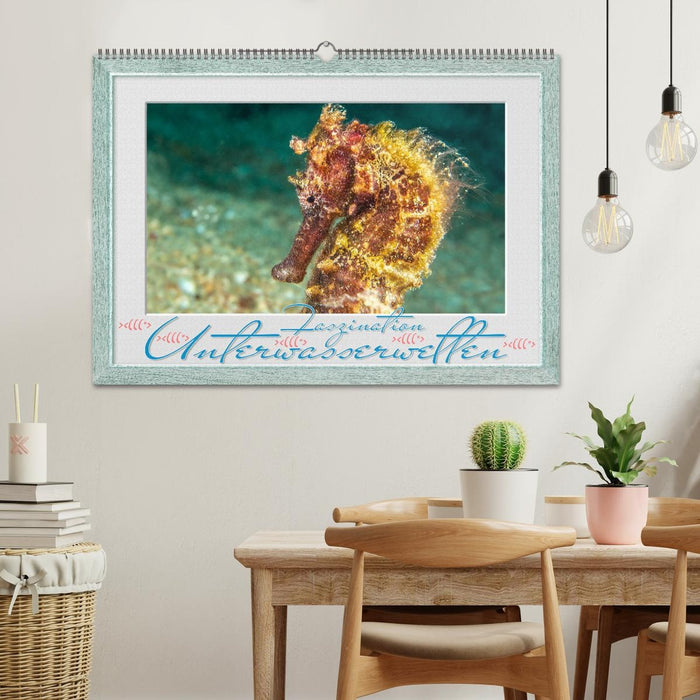 Faszination Unterwasserwelten (CALVENDO Wandkalender 2027)