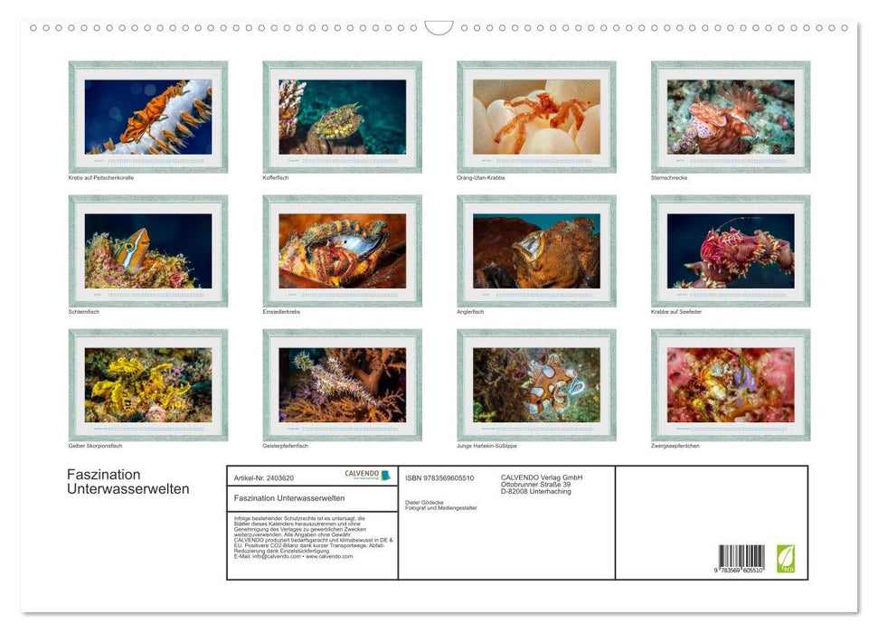 Faszination Unterwasserwelten (CALVENDO Wandkalender 2027)
